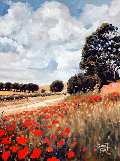 Divoké máky, Hertfordshire, 2010 (olej na papíře) od Cruz Jurado Traverso