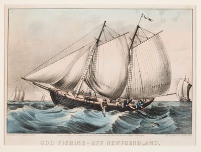 Rybolov tresky - mimo Newfoundland od Currier and Ives