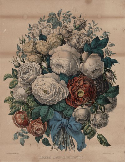 Růže a poupata od Currier and Ives