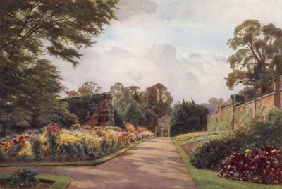 Rané chryzantémy, Claremont (barevné lito) od Cyril Ward