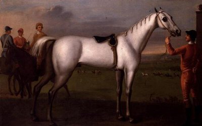 Ženich drží šedého závodního koně od D. Quigley