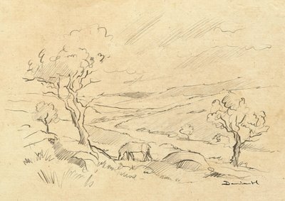 Dartmoorský poník od Dan Hobday