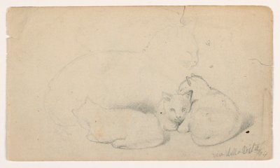 Kresba, Kočka a tři koťata; Verso: Arab sedící a přijímající muže, pravděpodobně podle Davida Robertse, 1844 od Daniel Huntington
