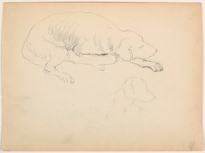 Kresba, Milo (pointer), dvě studie, asi 1862 od Daniel Huntington