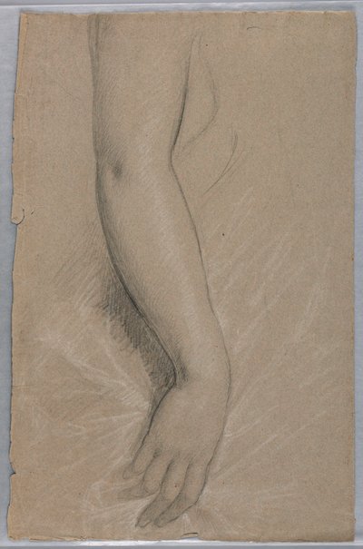 Kresba, paní Rutherford B Hayes,, 1880 od Daniel Huntington