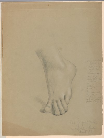 Kresba, studie pro duplikát "Christiany", březen 1850 od Daniel Huntington
