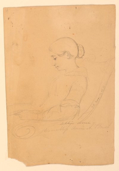 Portrétní studie Annie A. Brushové, sedící v profilu od Daniel Huntington