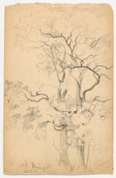 Studie Oaks v Dennings Point od Daniel Huntington