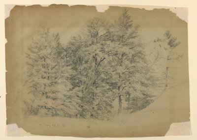 Studie stromů, North Conway, New Hampshire od Daniel Huntington