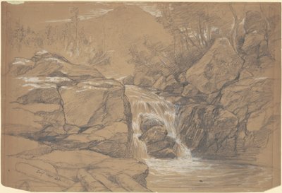 Swiftwater od Daniel Huntington
