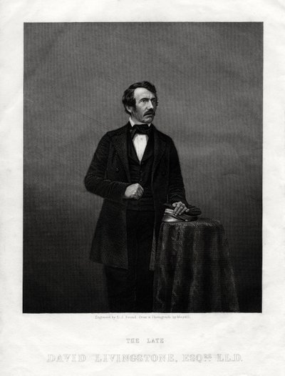 David Livingstone, skotský misionář a africký cestovatel, 1880 od Daniel John Pound