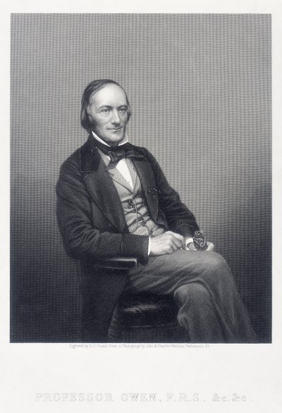 Sir Richard Owen, anglický zoolog, c1860. od Daniel John Pound