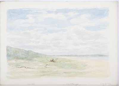 Holy Island, 1899 (tužka a čb na papíře) od Daniel Oliver