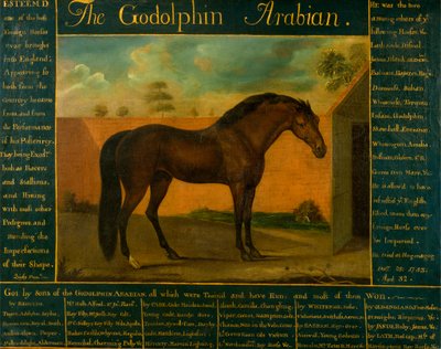 Arabský Godolphin od Daniel Quigley