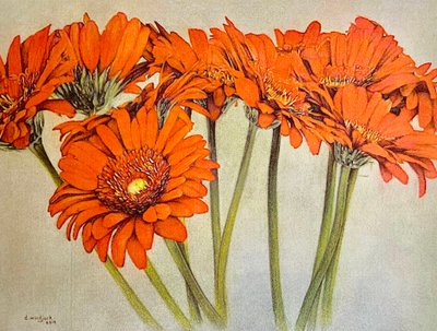 Orange Burst, 2019 (tužka, akryl na papíře) od Darrell Windjack