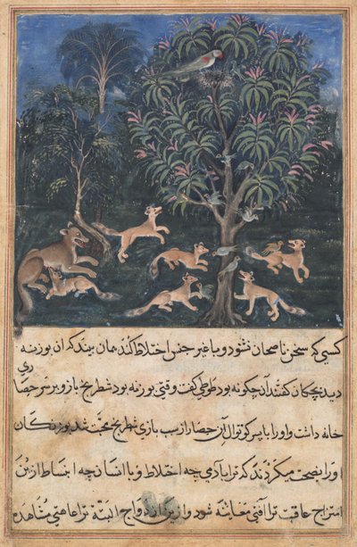 Stránka z Příběhů papouška Tuti-nama: Pátá noc: Papouščí matka varuje..., c. 1560. od Daswanth