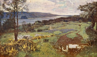 Clyde s Dumbarton Rock (barevná litografie) od David (after) Murray