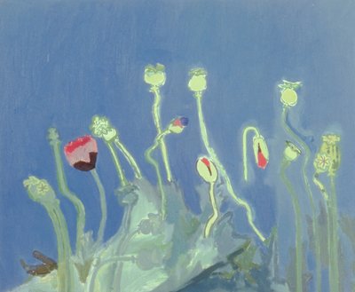 Poppyheads (olej na plátně) od David Alan Redpath Michie