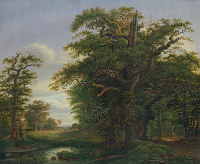Dubové dřevo, 1847 od David Christopher Mettlerkamp