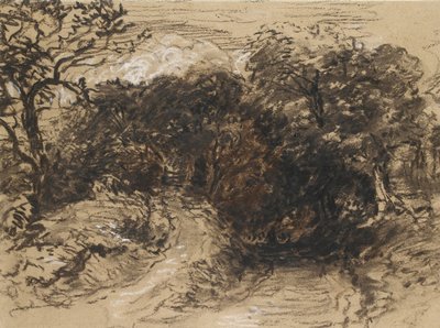 Dutá ulice poblíž Harborne, Derbyshire (černá křída s nádechem bílé a trochu hnědé barvy) od David Cox