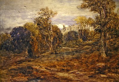 Barden Tower od David Cox