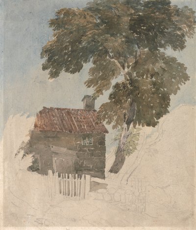 Chata a stromy od David Cox