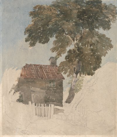 Chata a stromy od David Cox