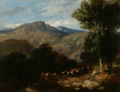 Přejezd přes Ford od David Cox