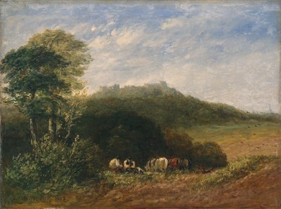 hrad Dudley; 1853 (olej na plátně) od David Cox