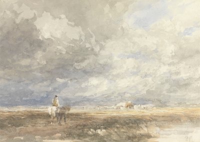 Jdu do Hayfieldu od David Cox