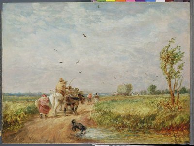 Jdu do Hayfieldu od David Cox