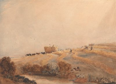 Senoseč od David Cox