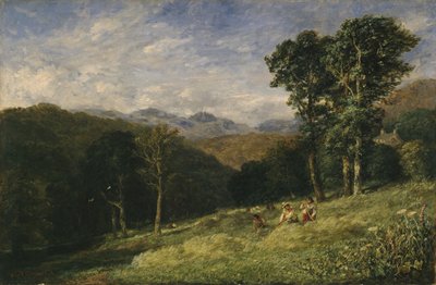 Senoseč poblíž Conway od David Cox