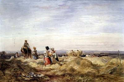 V Hayfield (akvarel) od David Cox