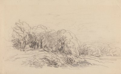 Krajina se stromy od David Cox