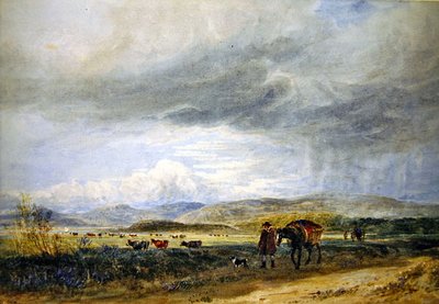 Llugwy Meadows (akvarel na papíře) od David Cox
