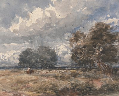 Pastýření stáda, větrný den od David Cox