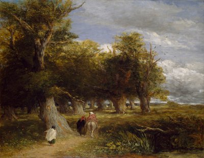 Sukně lesa, 1855 od David Cox