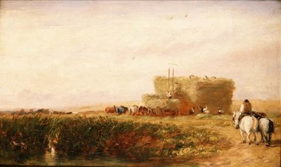 Hayfield od David Cox
