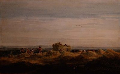 Hayfield od David Cox