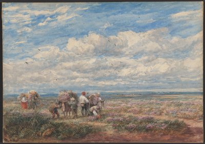  od David Cox
