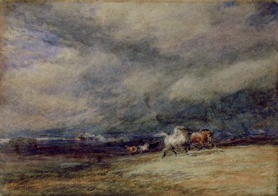 Noční vlak od David Cox