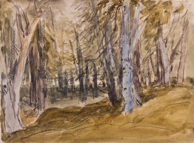 Stromy na Box Hill (dřevěné uhlí a wc na papíře) od David Cox