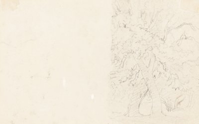 stromy [verso] od David Cox
