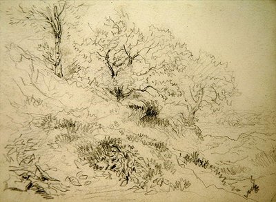 Velšská krajina (křída na papíře) od David Cox