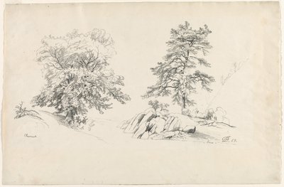 Kaštan a borovice, 1869. od David Johnson