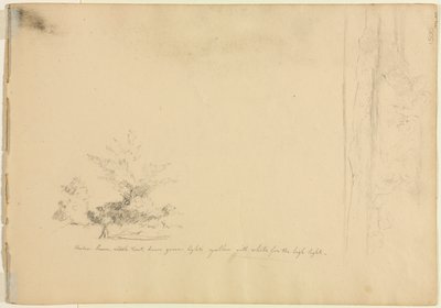 Studie krajiny a stromů (verso) od David Johnson