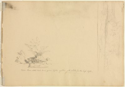 Krajinná a stromová studia verso, c. 1851. od David Johnson