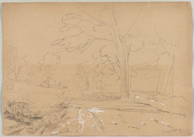 Krajina s rybařením, Conway, New Hampshire, 1851. od David Johnson