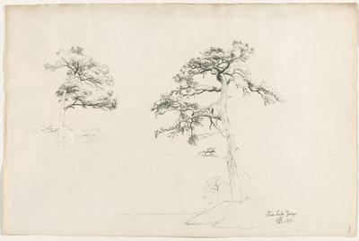 Pine, Lake George, 1871. od David Johnson